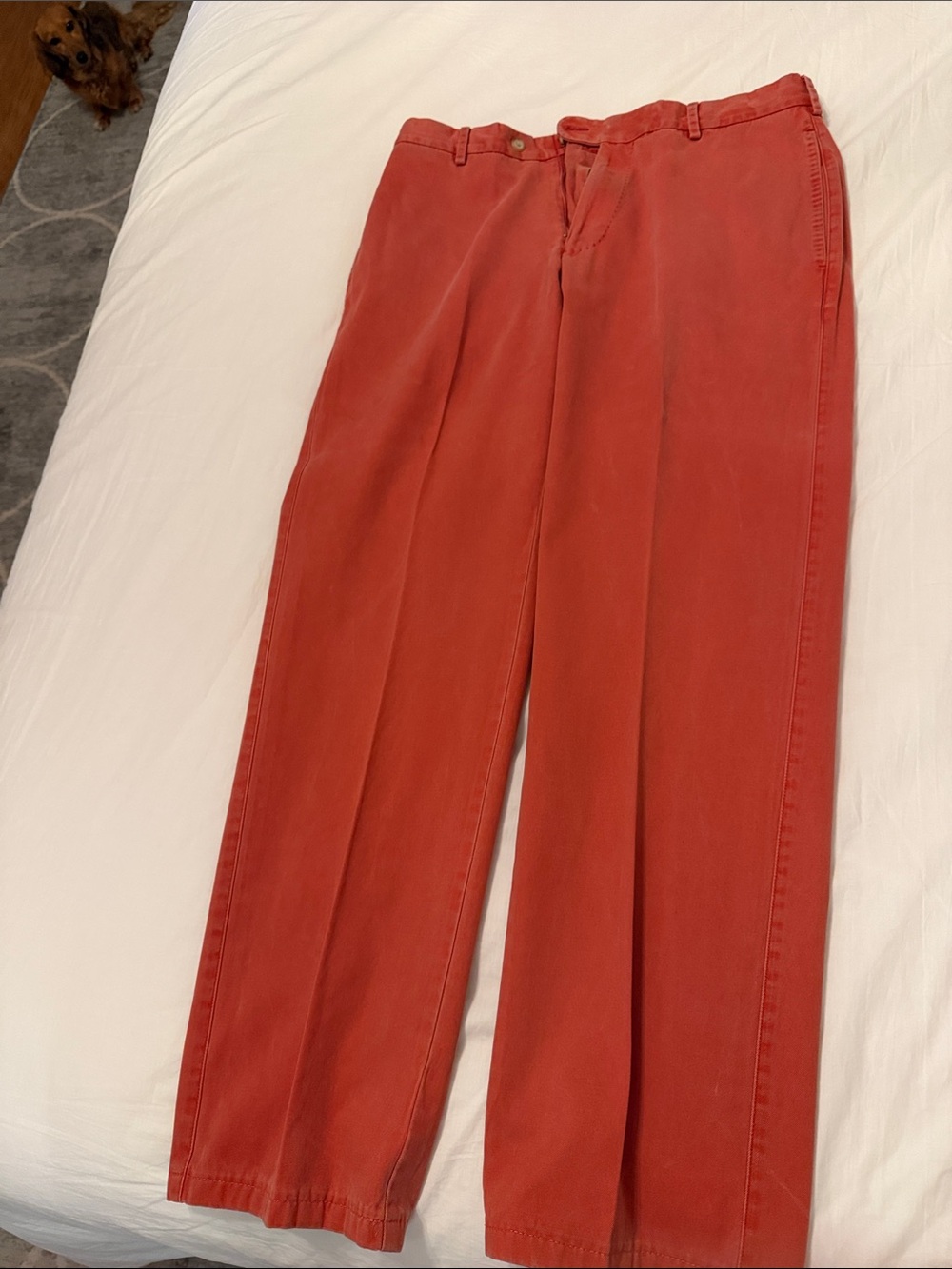 Men’s red Peter Millar chino